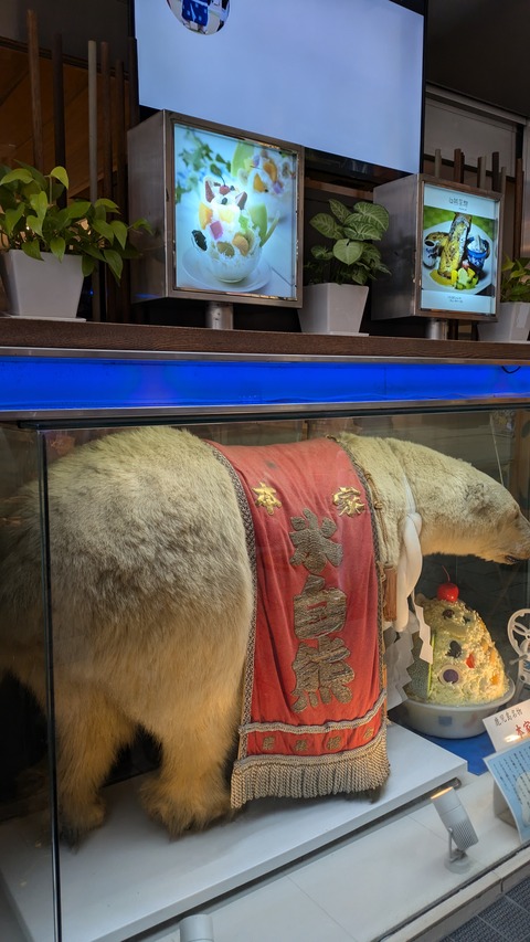 PXL_20241115_053558943