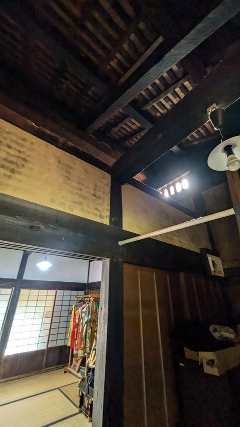 PXL_20241119_060228523