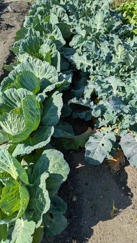 PXL_20251102_004849946