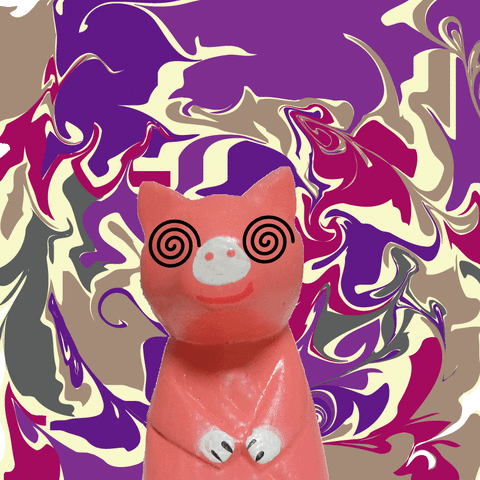 ブタ　カオス1