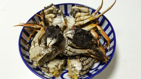 PXL_20251126_092819357