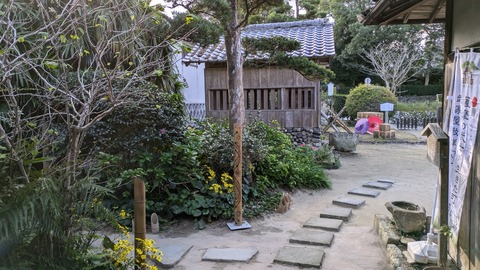 PXL_20241118_002957711
