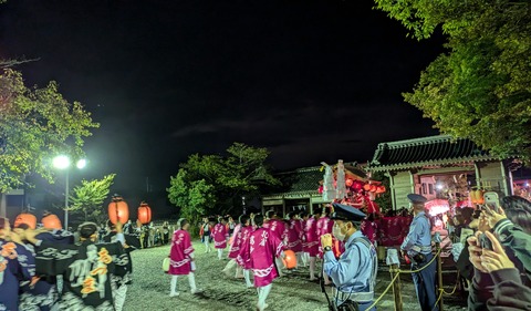 PXL_20241020_120551225