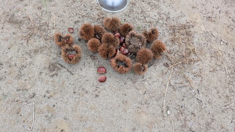 PXL_20251011_023508957