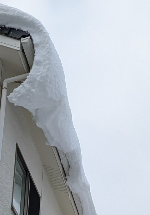 PXL_20260126_003030666~2