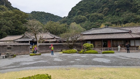 PXL_20241115_042247654