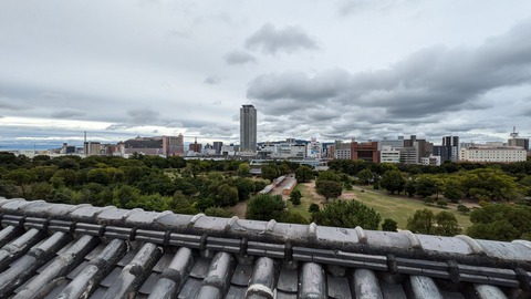 PXL_20241028_011554986