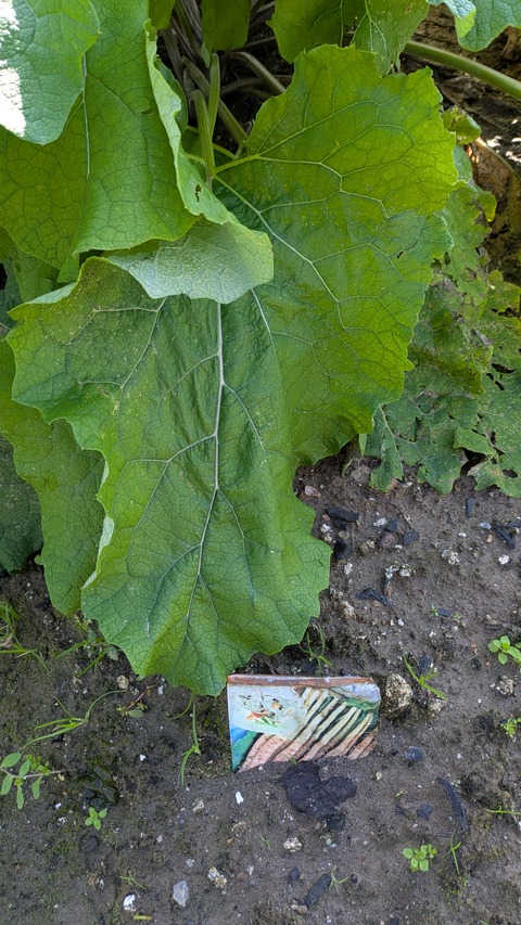 PXL_20251102_011657873