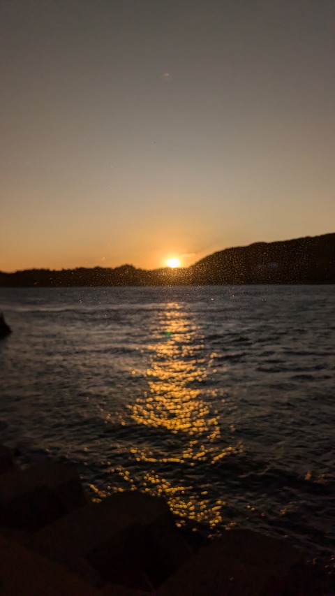 PXL_20241118_080211354