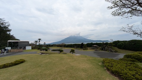 PXL_20241115_042259737