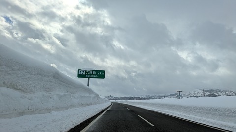 PXL_20250211_042629052