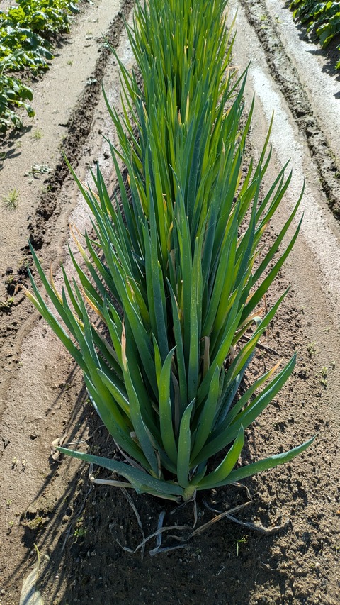 PXL_20251102_011600438