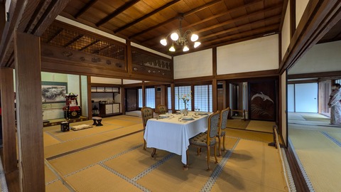 PXL_20241115_041302008