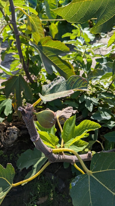 PXL_20251102_011754880