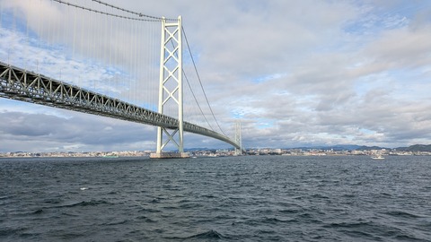 PXL_20241028_050504127