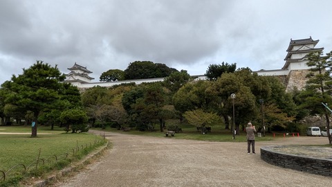 PXL_20241028_010732258