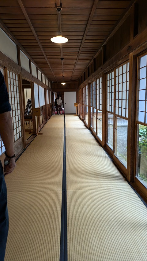 PXL_20241115_040902609