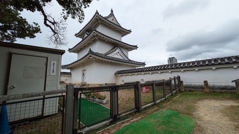 PXL_20241028_011517145