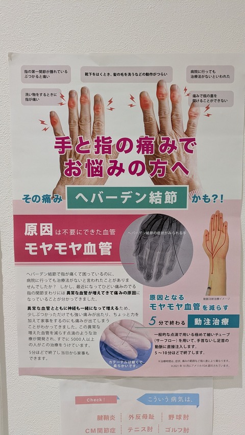 PXL_20251112_001324522