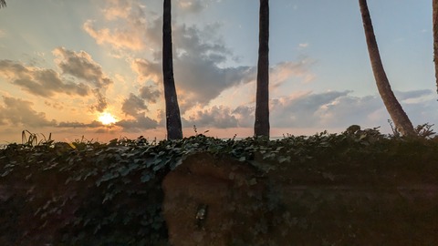 PXL_20241117_074718731