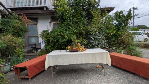 PXL_20251018_050056550