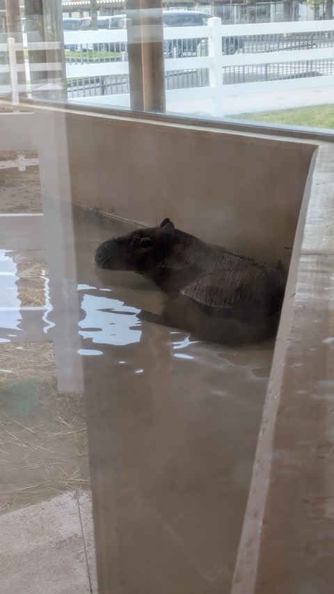 PXL_20250414_021509041