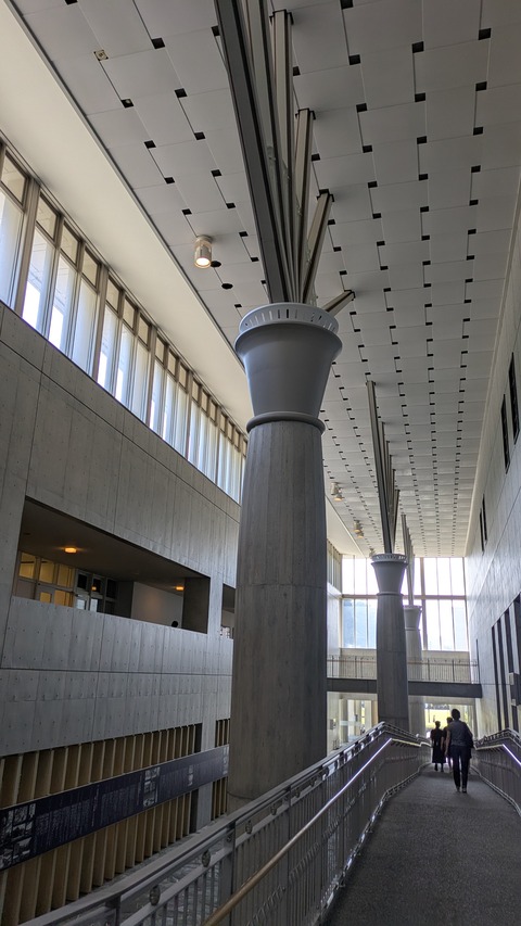 PXL_20250803_052953511