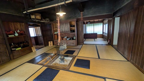 PXL_20241119_063527856