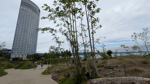 PXL_20250626_050457256