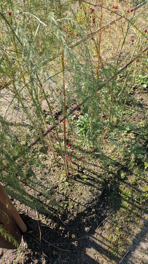 PXL_20251102_004810863