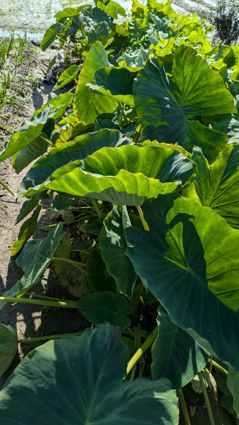 PXL_20251102_011706172