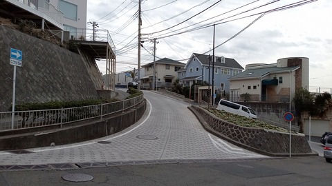 DSC_7048