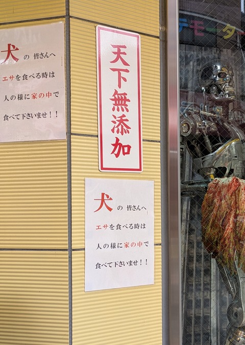 PXL_20251020_035526008