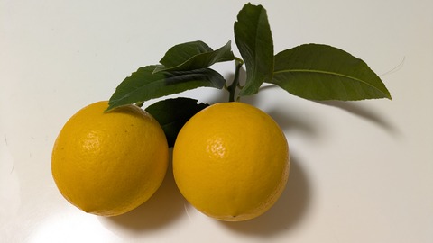 PXL_20250111_052606119