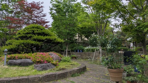 PXL_20250613_075715417