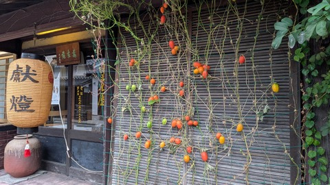 PXL_20251018_050042698