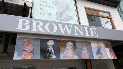 PXL_20251020_041232964