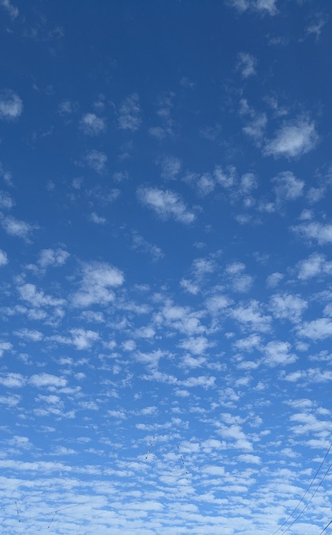 PXL_20260709_072906736~2