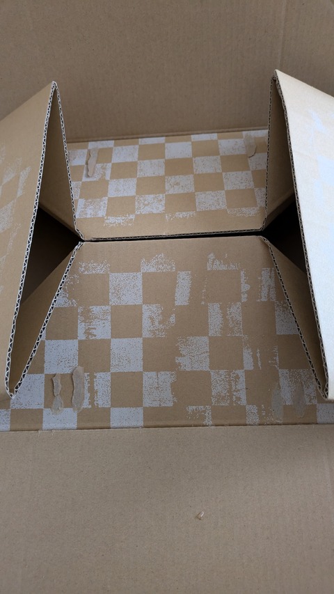 PXL_20241225_024733161