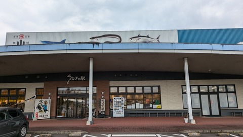 PXL_20241117_043714347