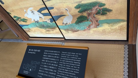 PXL_20241115_041621900