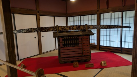 PXL_20241115_040808818