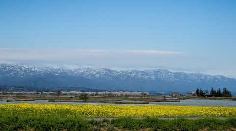 PXL_20250413_020115210~3