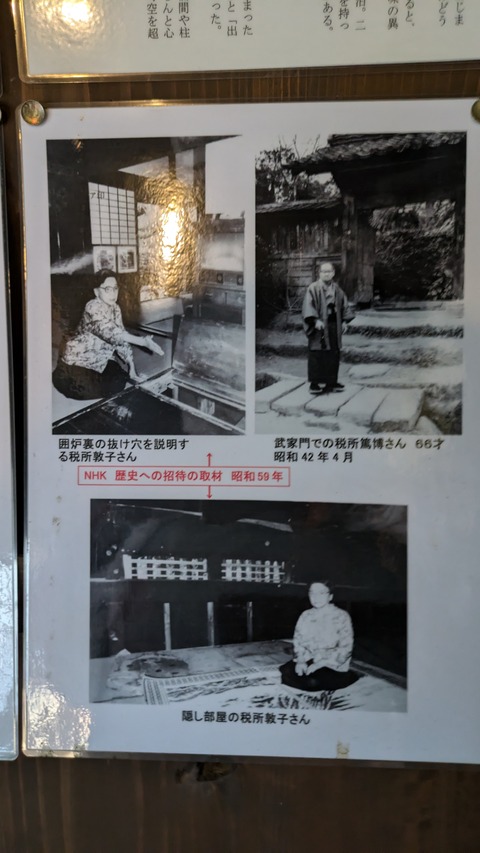 PXL_20241119_060748415