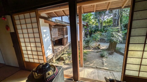 PXL_20241119_061015468