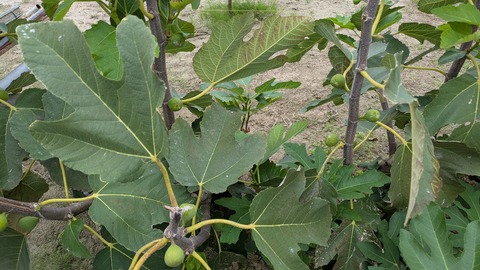 PXL_20251011_023334285