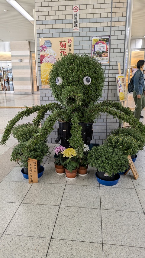 PXL_20241028_005150771