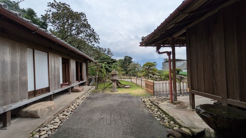 PXL_20241115_041023453