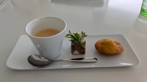 PXL_20250411_030905946