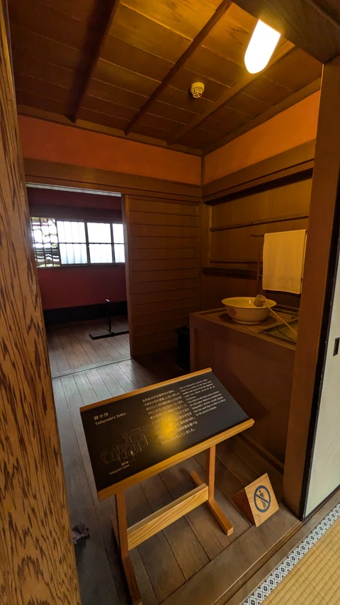 PXL_20241115_041731270